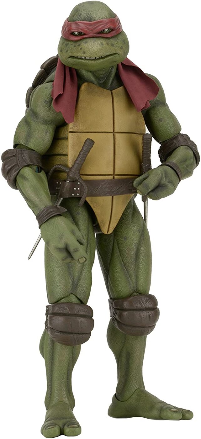 raphael turtle figure