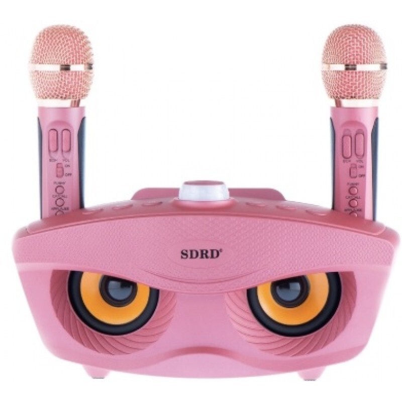 SDRD SD-306 - bluetooth колонка-караоке с беспроводными микрофонами ...