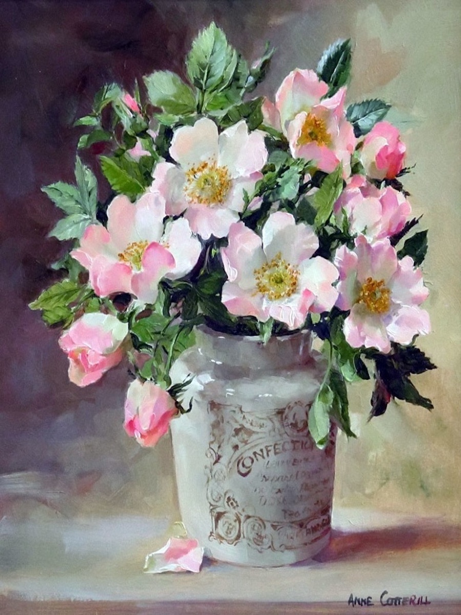 Художник Anne Cotterill