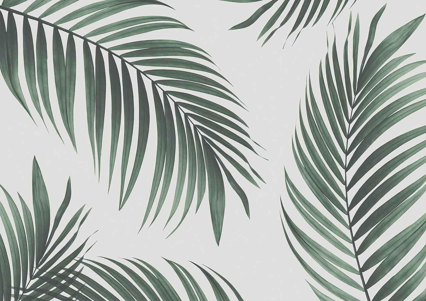 Обои флизелиновые листья пальмы