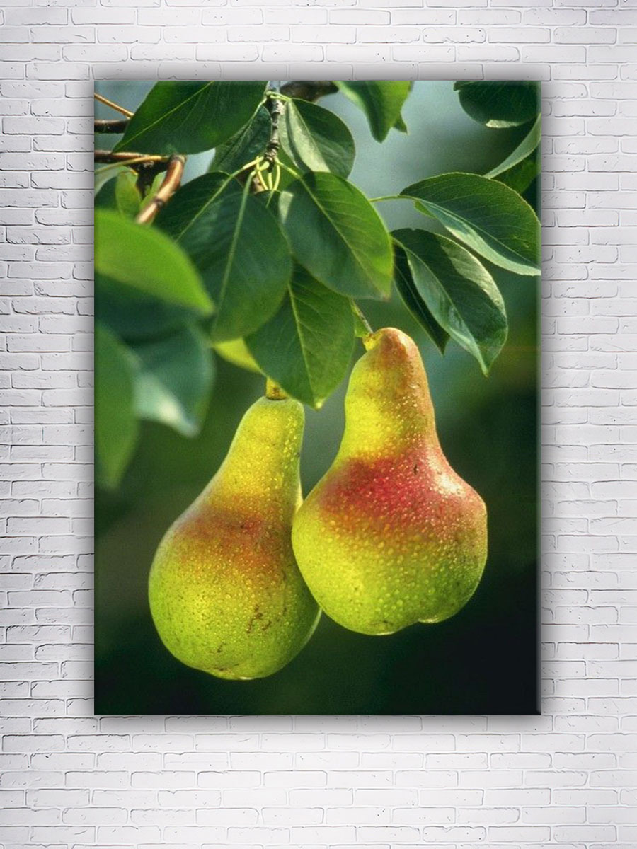 Bax груша боксерская 80 кг. Чуни splav «aleut». Мешок боксерский апперкотный. Боксерская груша 40кг. Боксерская груша 40кг.