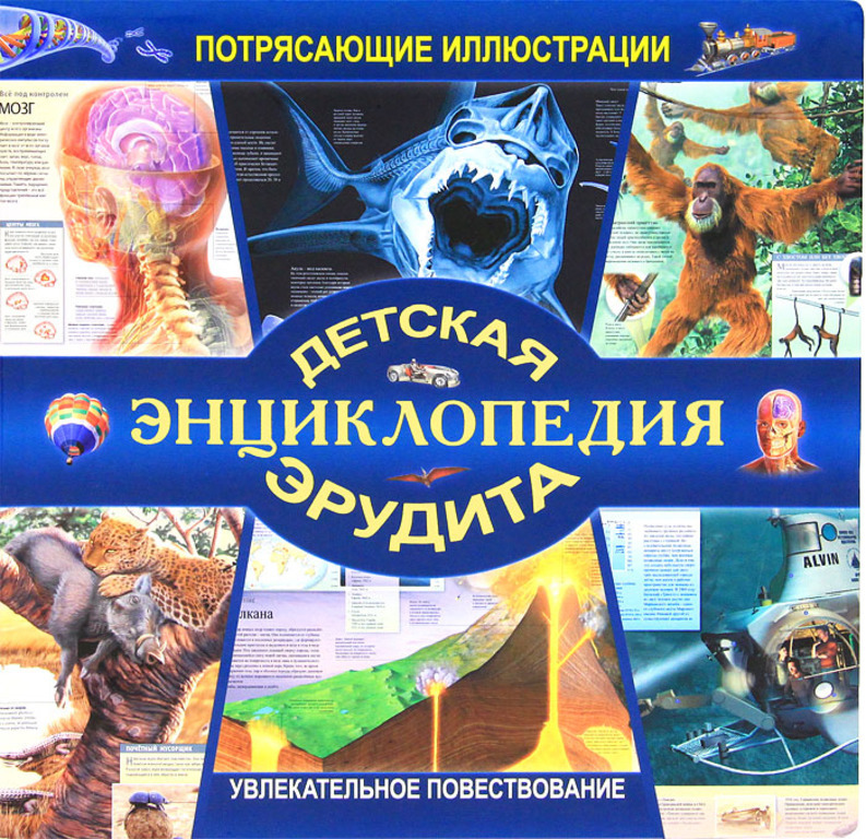 Характеристики Детская энциклопедия эрудита, подробное описание товара ...