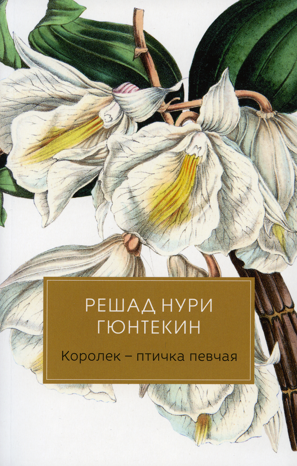 Написанный в 1922 году и неоднократно экранизированный, роман принес Гюнтек...