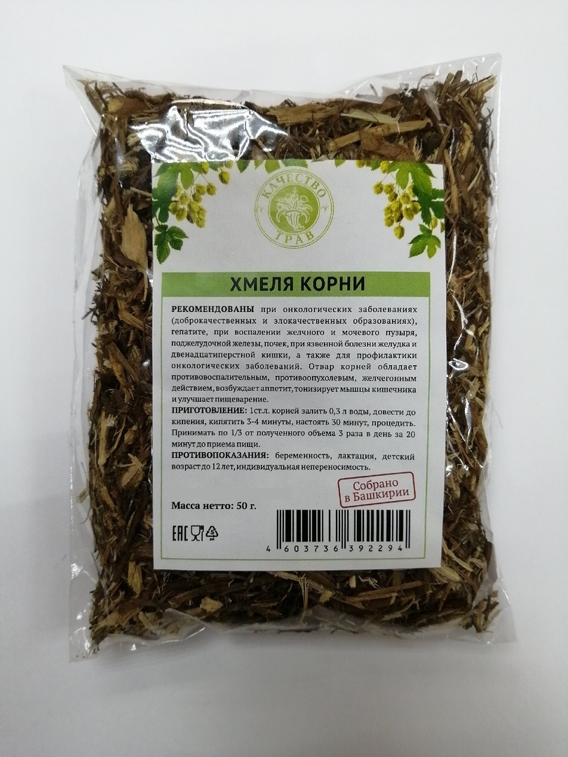 Корень хмеля картинка