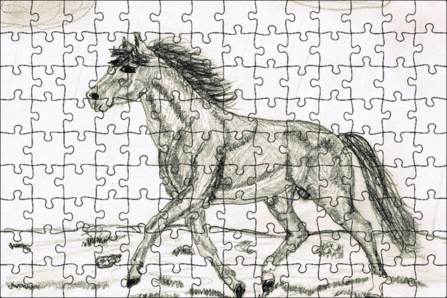 Карандашный набросок 5 букв сканворд. Лошади рисунки в блокнот. Лошадь рисунок карандашом. Лошадь узор красивый печать. Рисунки по номерам карандашом.