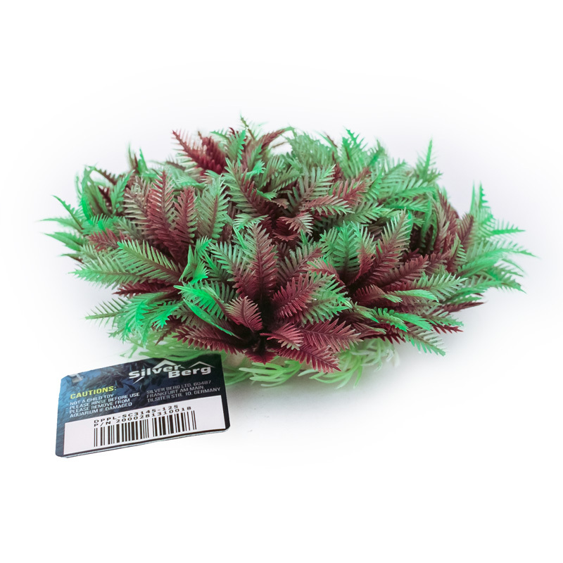 Куст 14. Сирень мейера палибин штамбовая. Штамбовая сирень мейера. Можжевельник грей оул стрижка. Миндаль степной бобовник.