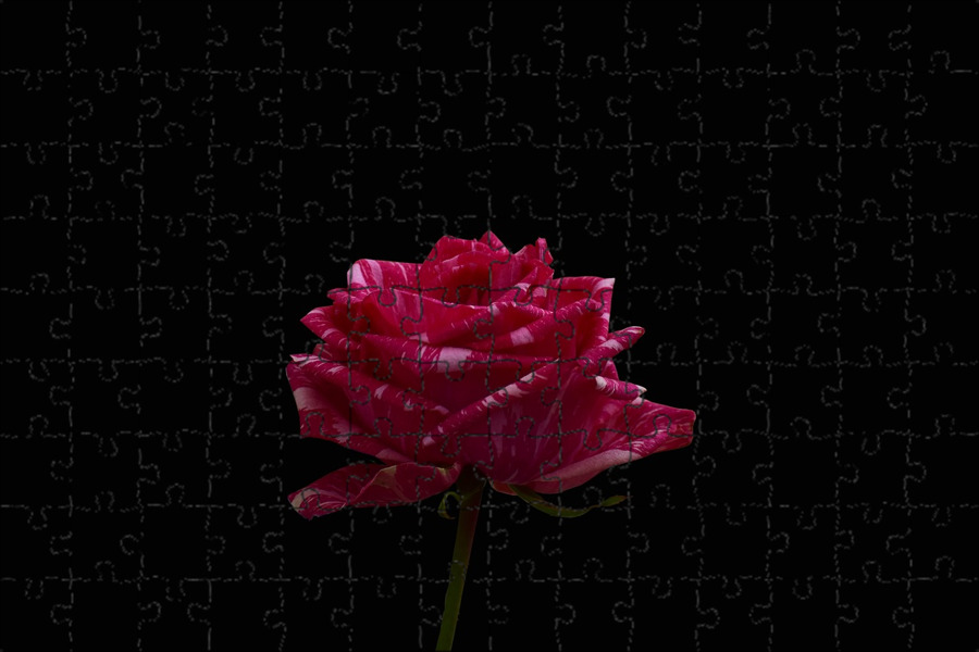 Букет цветов для женщины. Профилы цветы. Цветы довольное. Девушка с цветами. Букет цветов для мужчины.