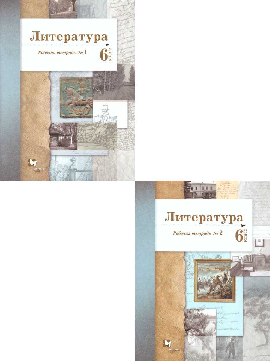 Литература 6 класс. Комплект из 2-х рабочих тетрадей. ФГОС | Ланин Борис  Александрович, Шамчикова Валентина Максимовна - купить с доставкой по  выгодным ценам в интернет-магазине OZON (339790351)