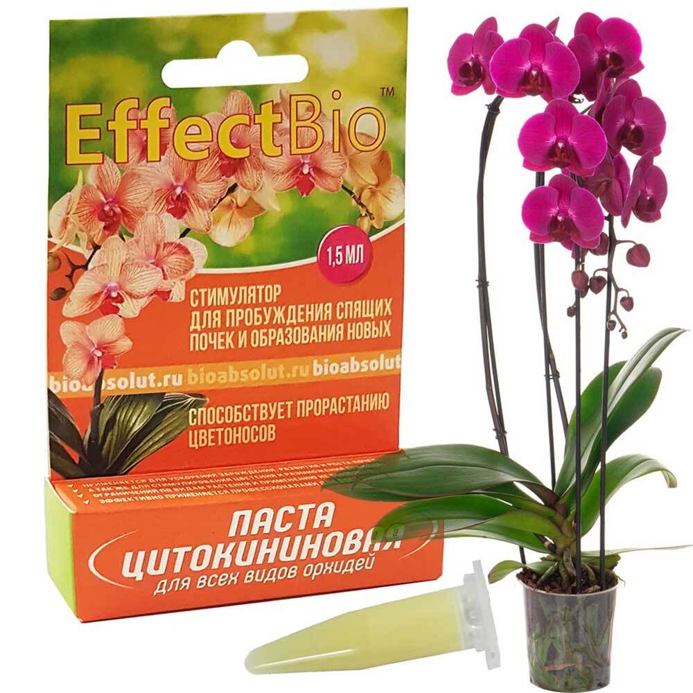Паста для орхидей купить. Паста цитокининовая EFFECTBIO 1,5мл. Цитокининовая паста для орхидей. Цитокининовая паста EFFECTBIO 1,5мл для дом.и сад.растений. Цитокининовая паста "ultraeffect" Special" 1.5 мл (для орхидей).