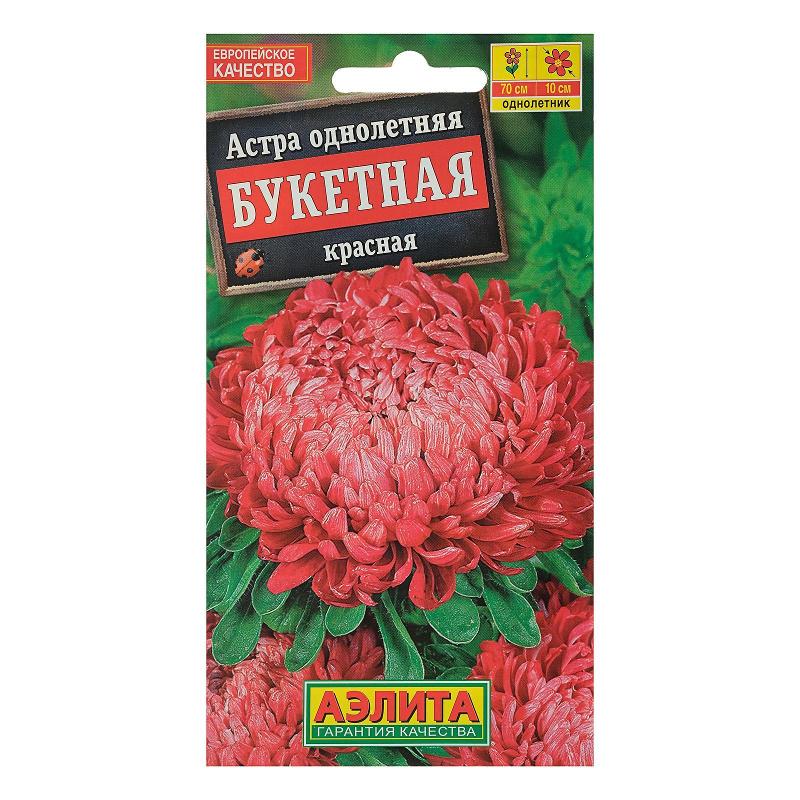 Астра Букетная