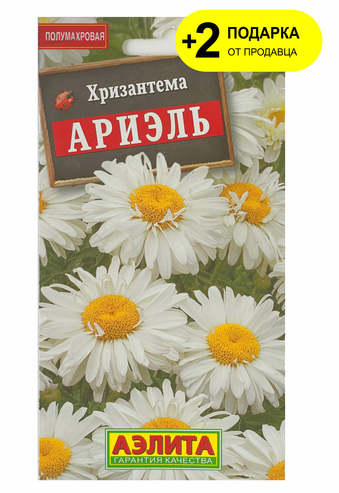 Хризантема ариэль
