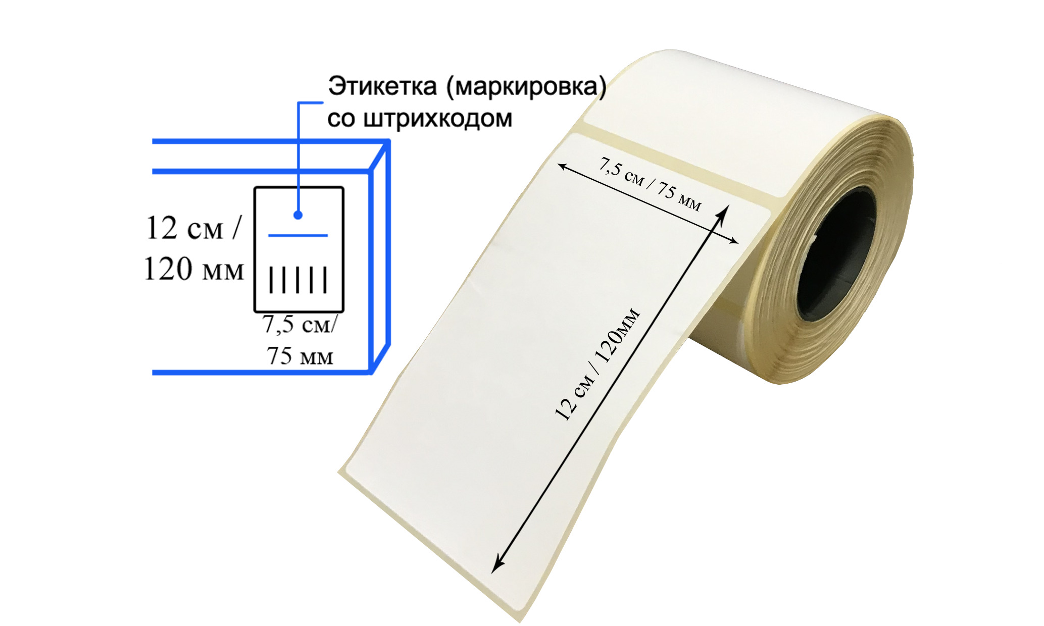 Термоэтикетки 75х120