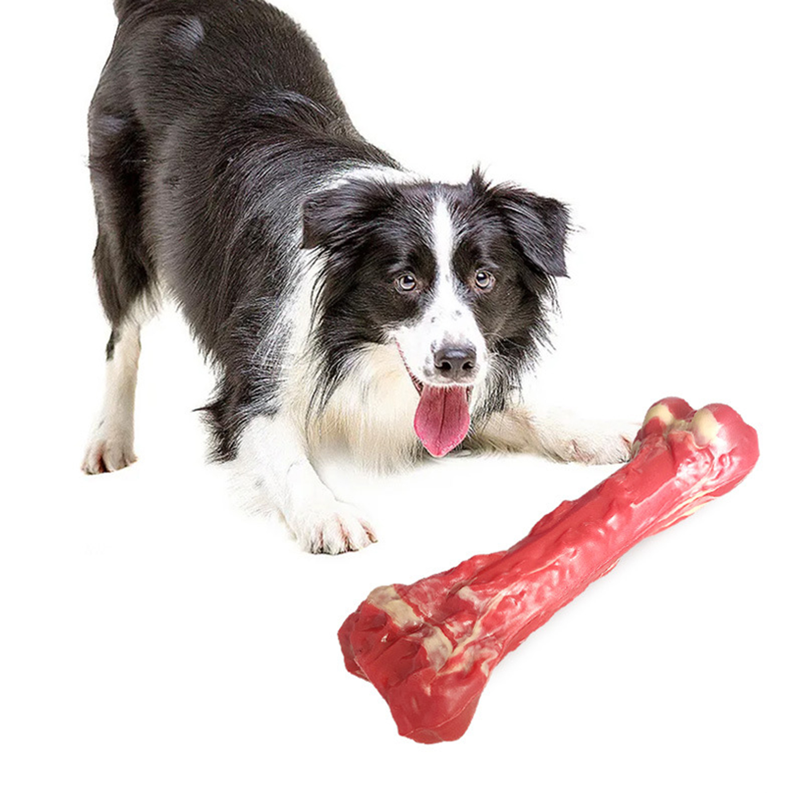 Chew toy. Chew toy. Dog toy. Chew toy. Bone chew toy.