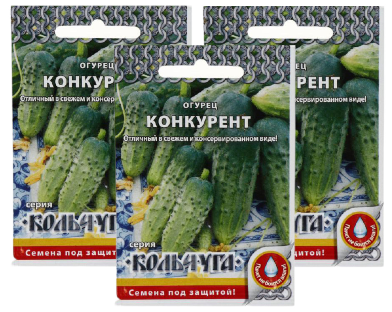 Огурец конкурент. Сорт огурцов конкурент. Огурец конкурент фото. Огурец конкурент из Ашана.