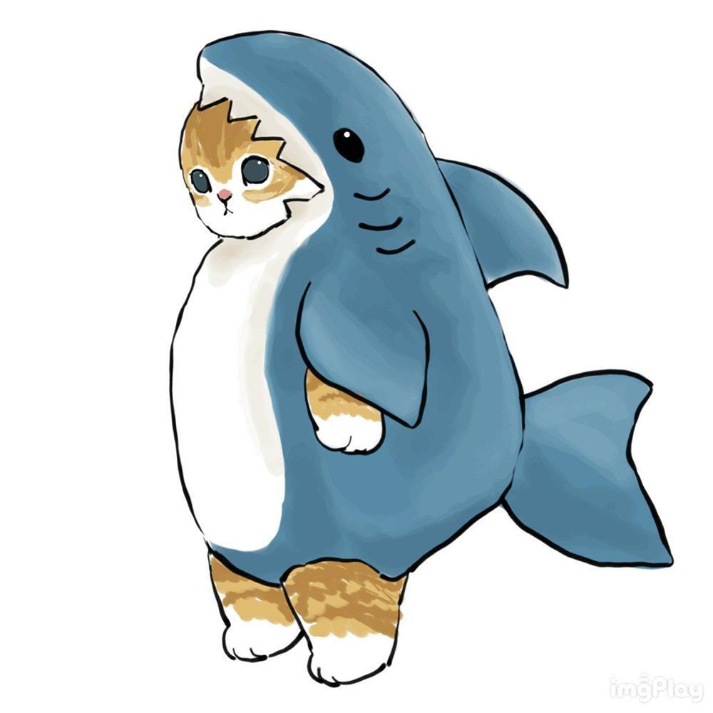 Котик акула рисунок