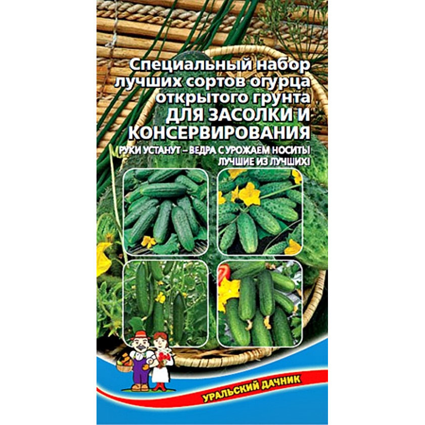 Лучшие огурцы для теплицы. Огурцы для засолки сорта. Сорта огурцов для консервирования. Огурцы семена для открытого грунта. Семена огурцов для открытого грунта для засолки.