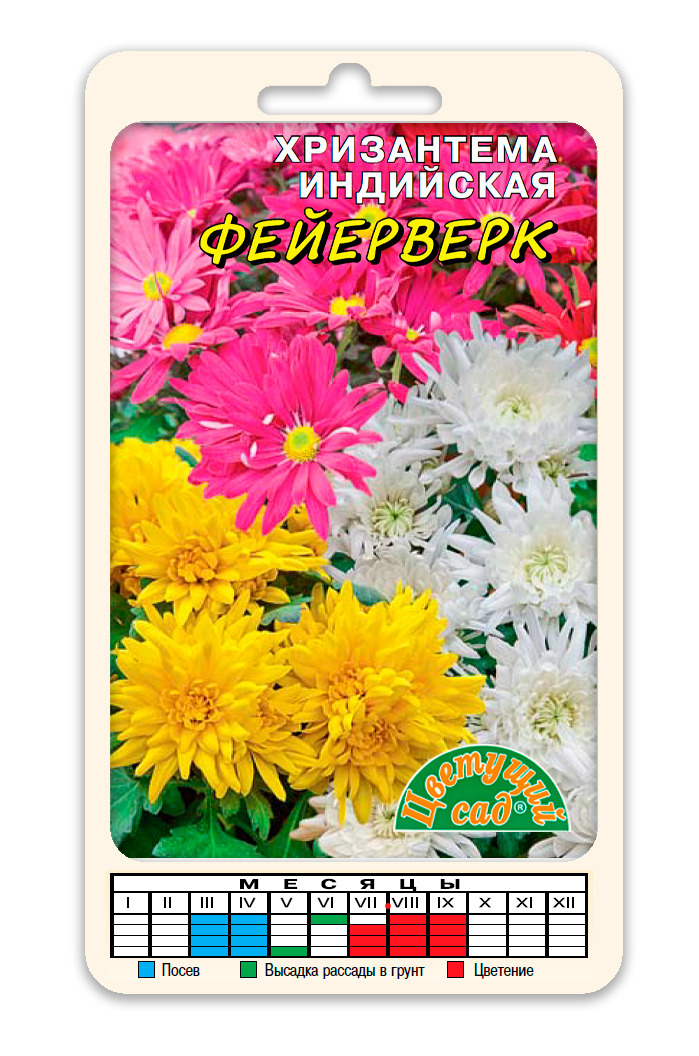 Хризантемы многолетние Цветущий сад ЦС Хризантема АССОРТИ - купить по  выгодным ценам в интернет-магазине OZON (454732014)