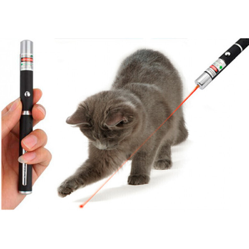 Кошка играет указкой. Лазерная указка 5 MW. Лазерная указка Laser Pointer UGR. Лазер для кошек. Игрушка лазер для кошек.
