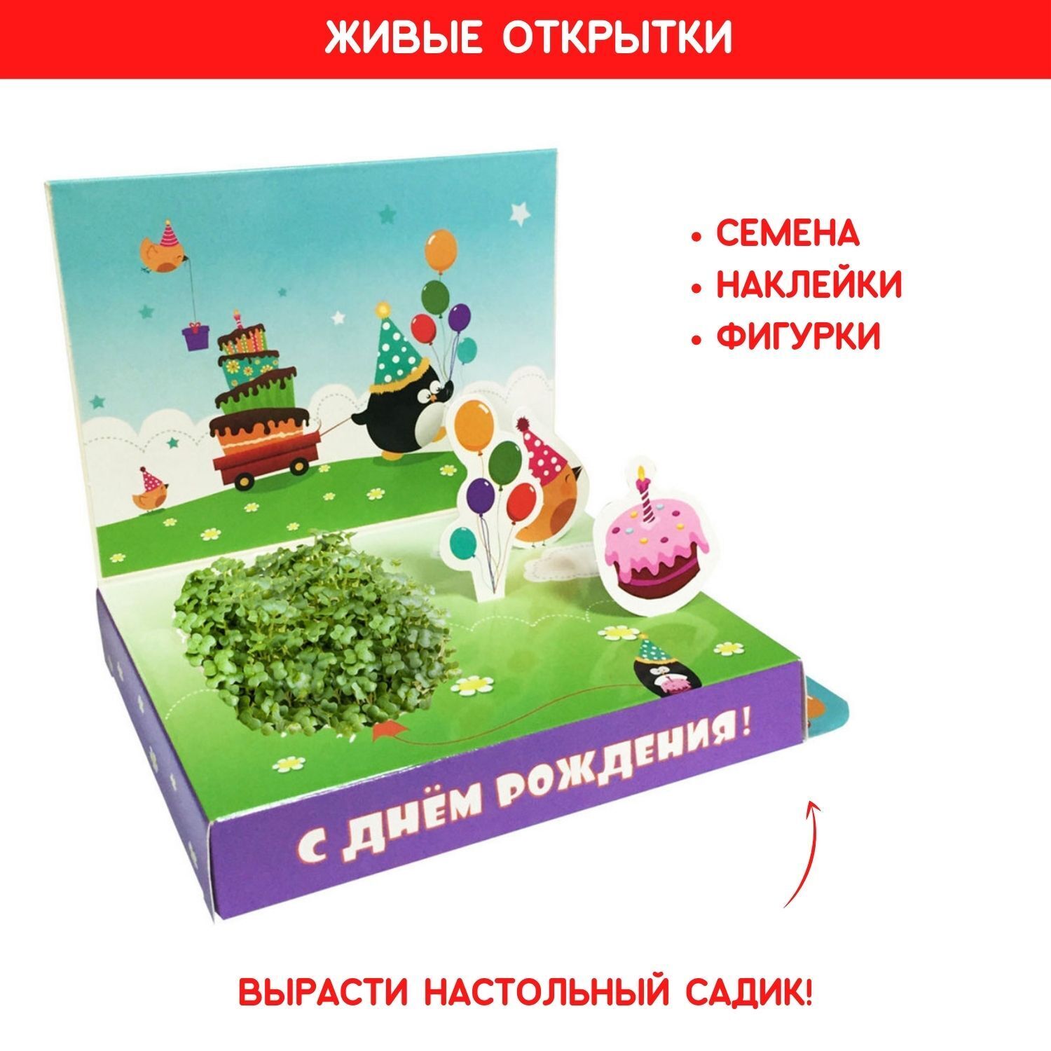 Что подарить в день рождения одержимому цветоводу?