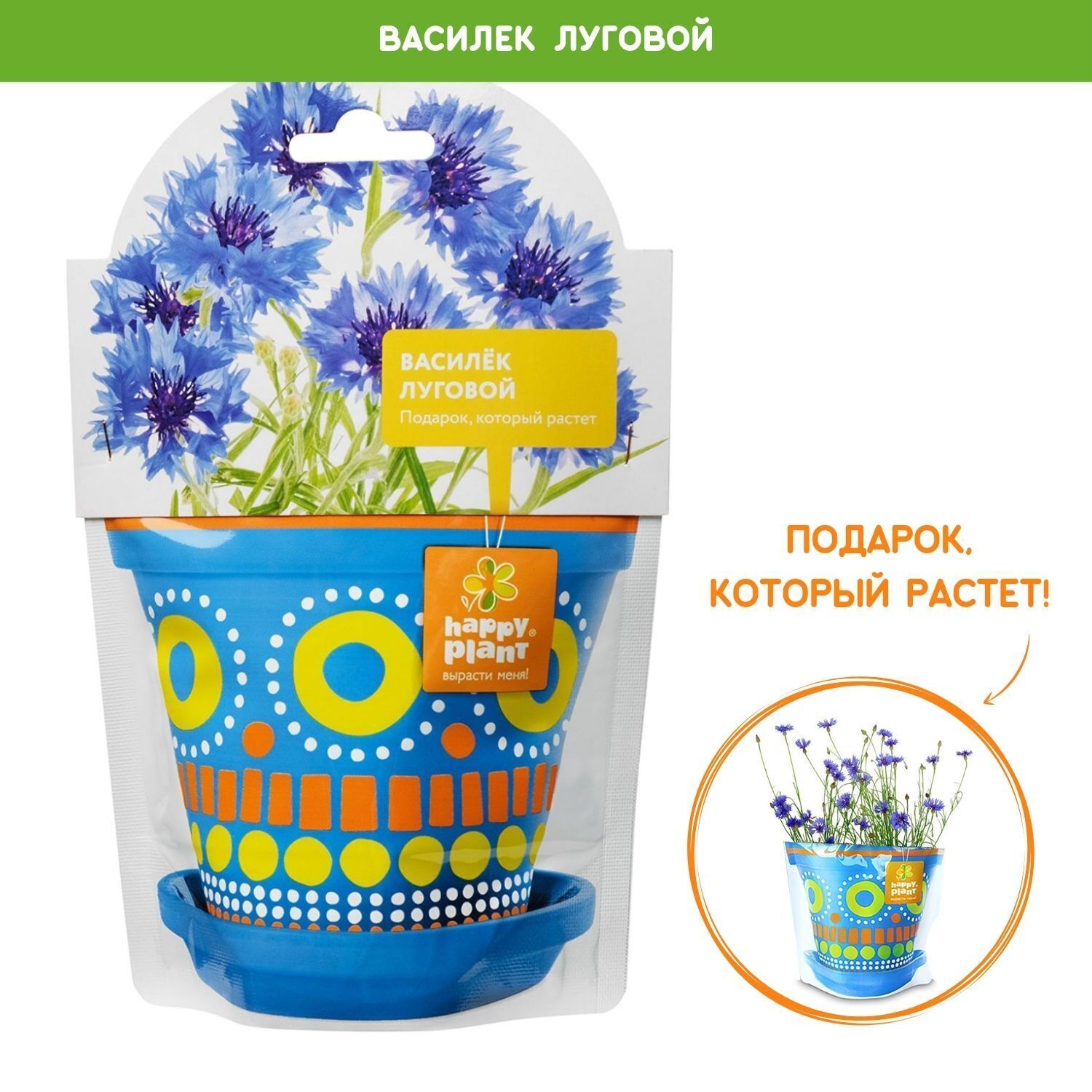 Набор для выращивания Happy Plant, Васильки однолетние, Однолетник купить  по выгодной цене в интернет-магазине OZON (154384227)