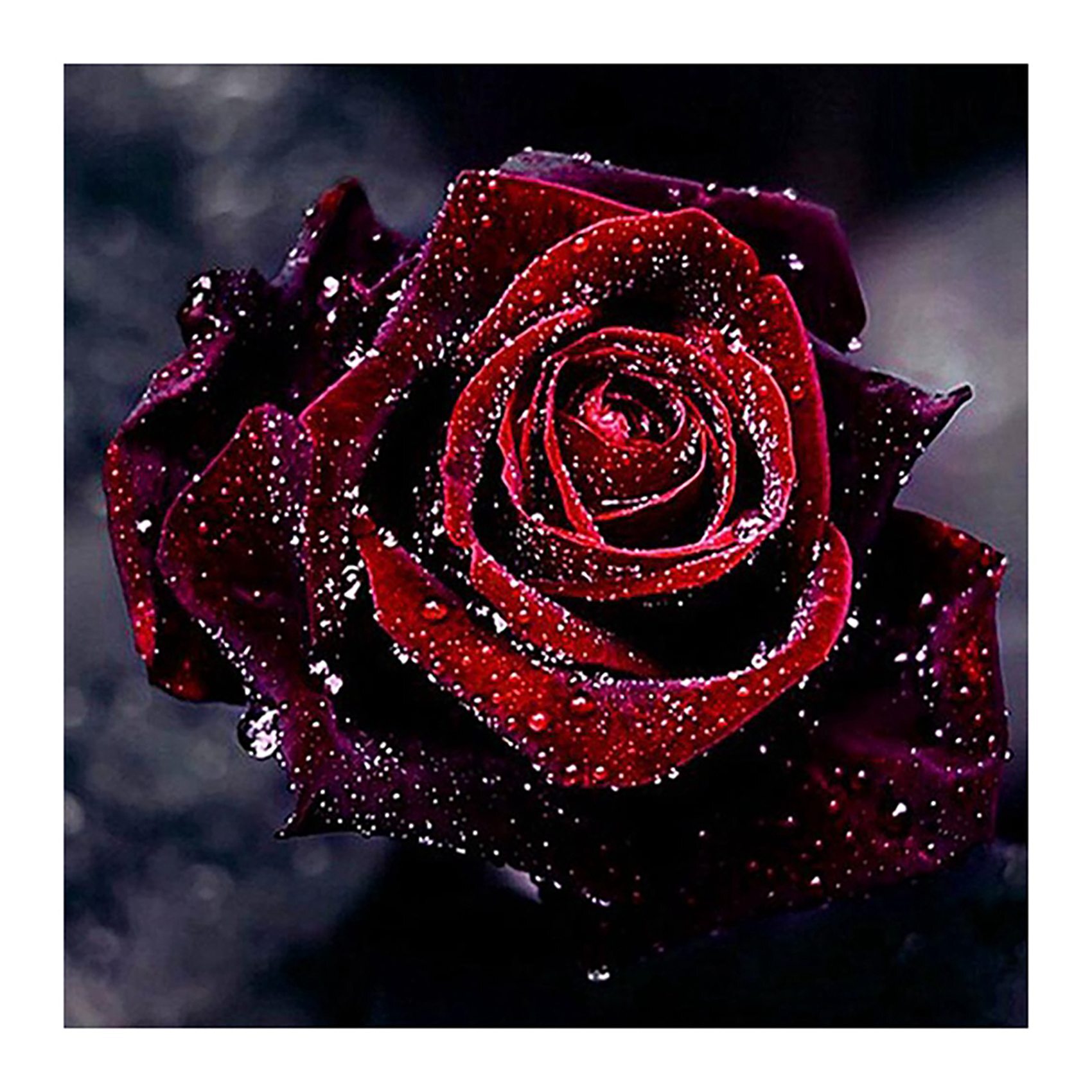 Красивые фото цветов на аватарку Настенный икер Rhineone Red Rose своими руками - купить с доставкой по выгодным 