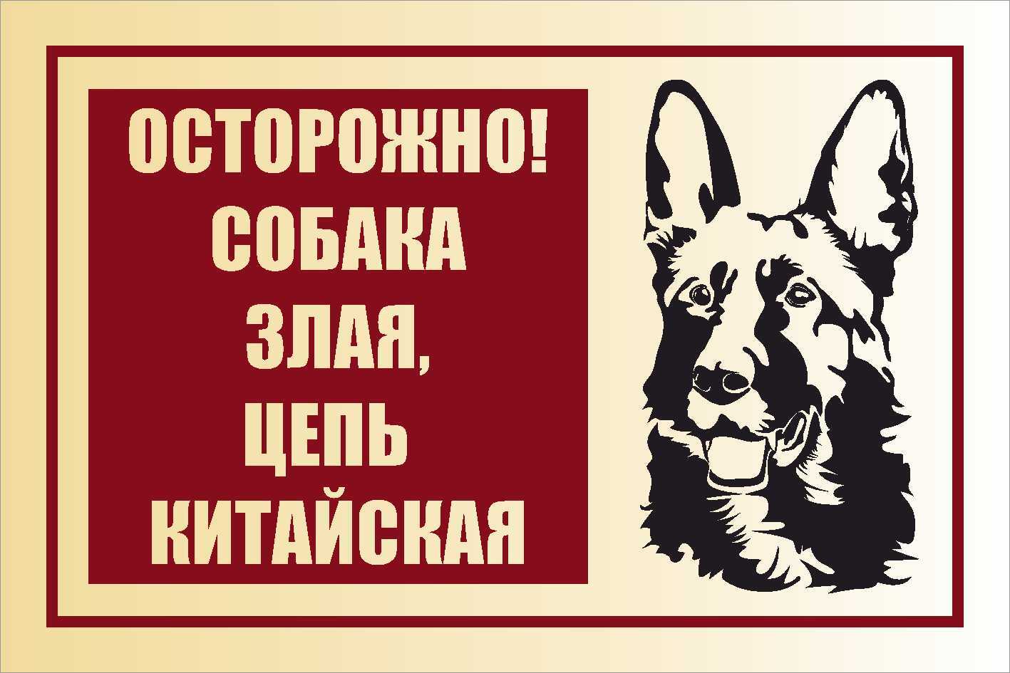 Табличка информационная "Осторожно, злая собака" 300х200 мм