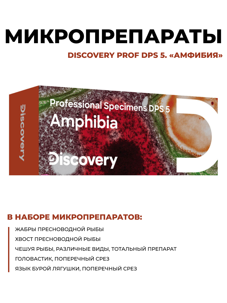 Набор микропрепаратов для микроскопа Discovery Prof DPS 5. Амфибия