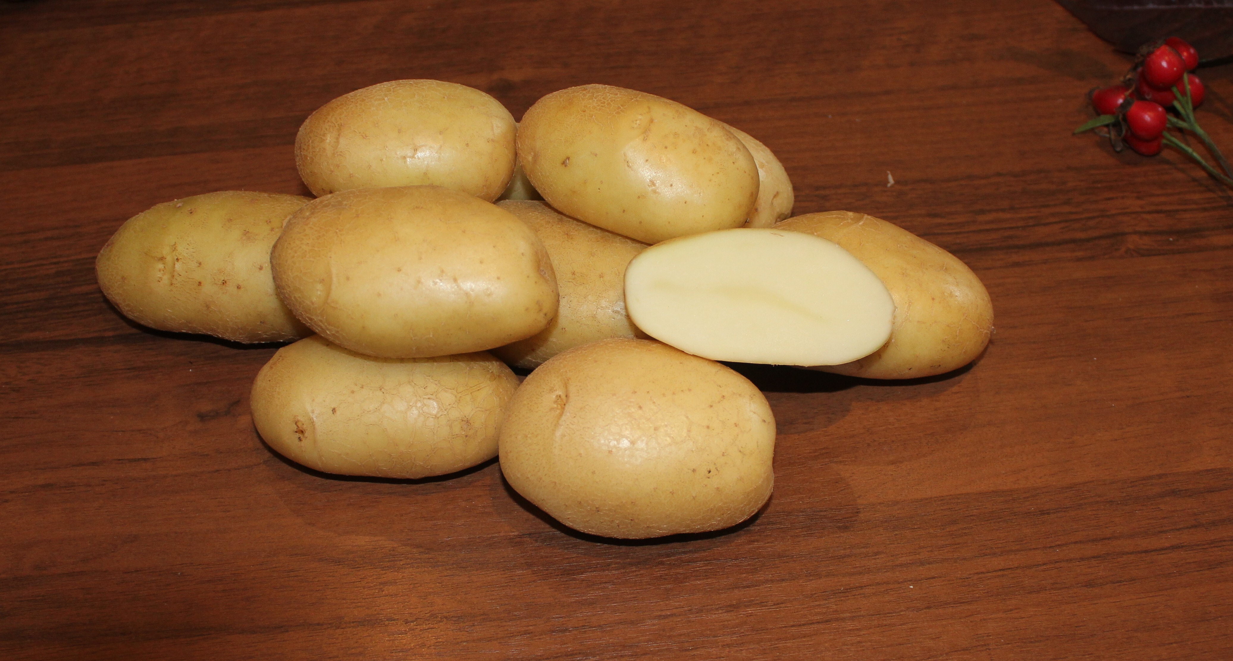 сорт картофеля характеристика отзывы фото описание