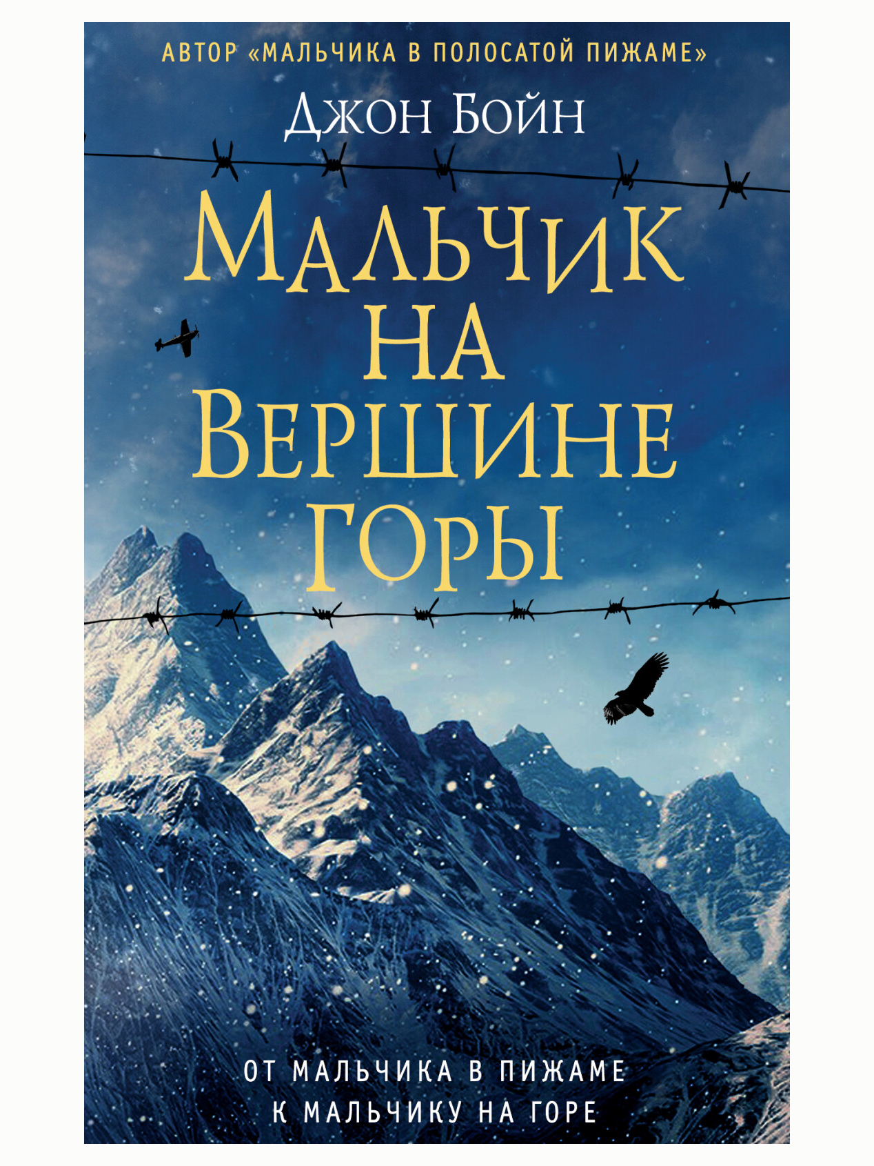 Мальчик на вершине горы. Джон Бойн | Бойн Джон - купить с доставкой по  выгодным ценам в интернет-магазине OZON (503820380)