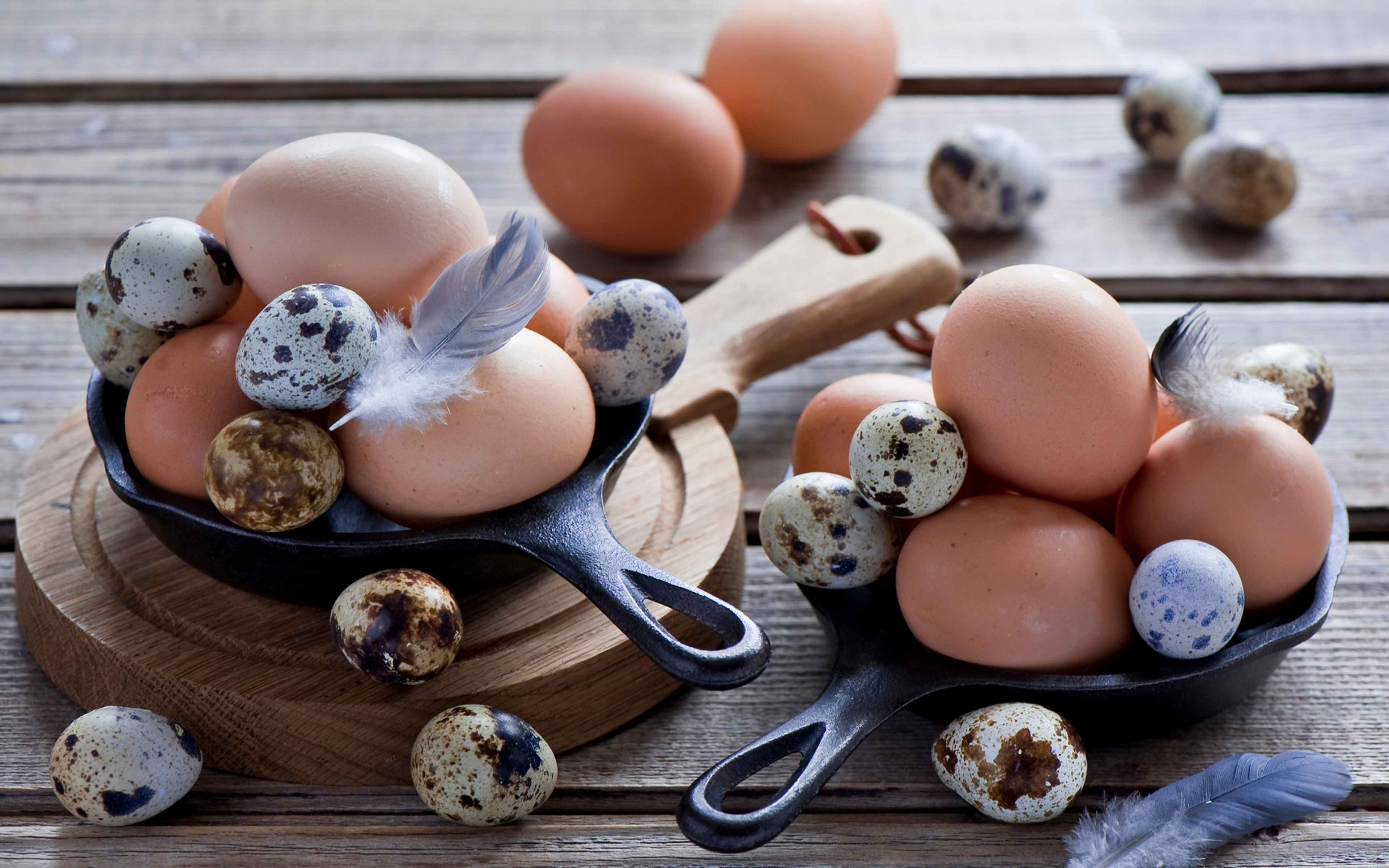 Фотки яичек. Яйцо куриное. Куриные и перепелиные яйца. Яйцо (пищевой продукт). Красивые куриные яйца.