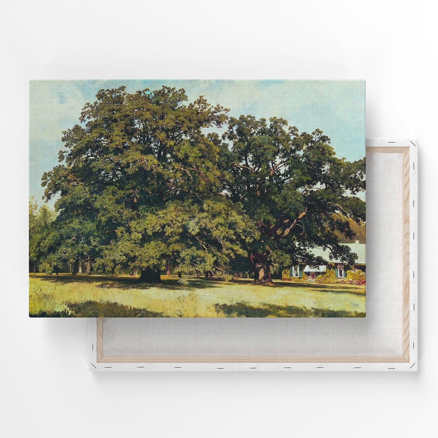 Мордвиновские дубы картина шишкина