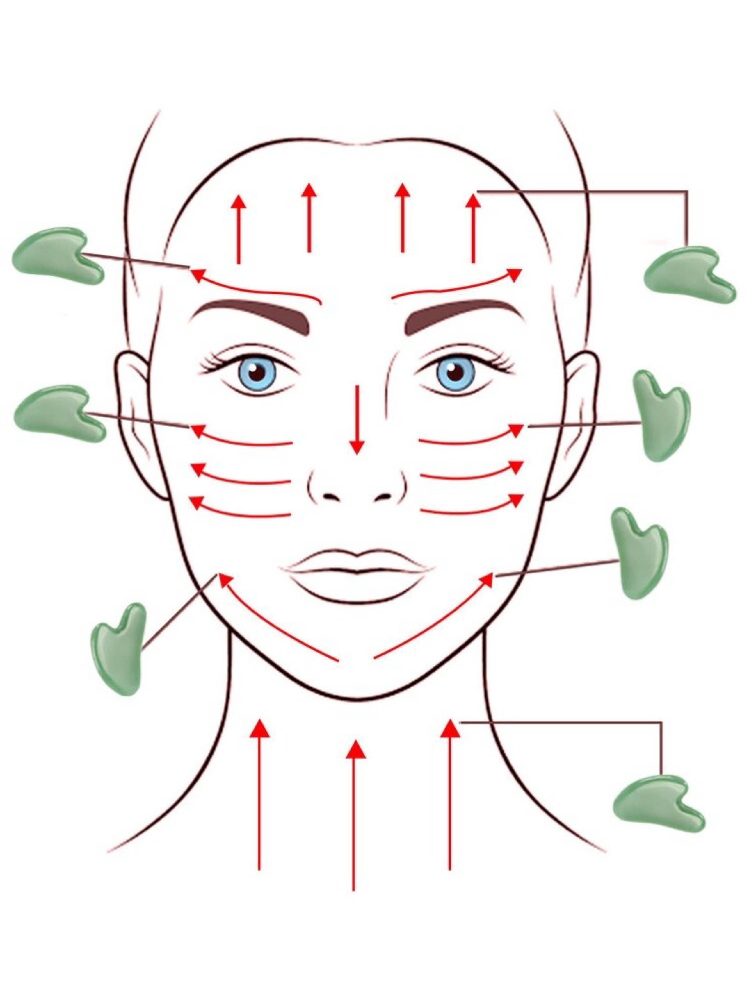 Массажные линии для массажера. Gua Sha массаж лица. Массаж лица Гуаша схема. Массажные линии лица. Скребок Гуаша массажные линии на лице.