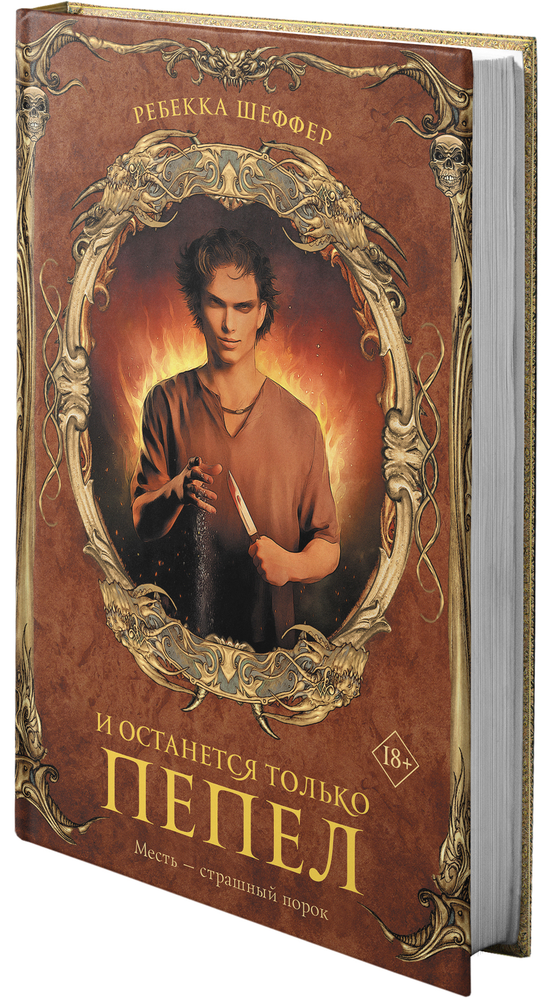 Книга пепел песок. Книга пепла. Книга пепла. Книга пепла. Цикл кровь и пепел.