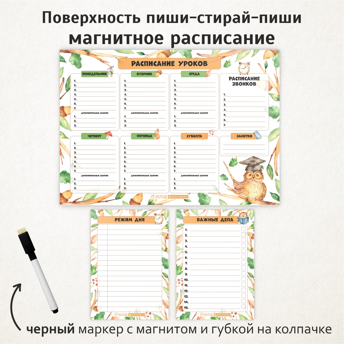 расписание сервиса и туризма