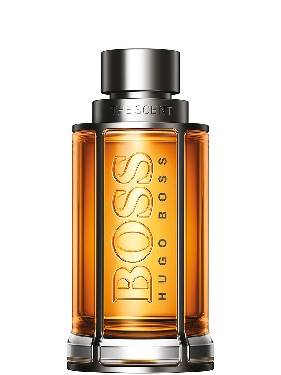 Hugo Boss the Scent private Accord for him 100 ml