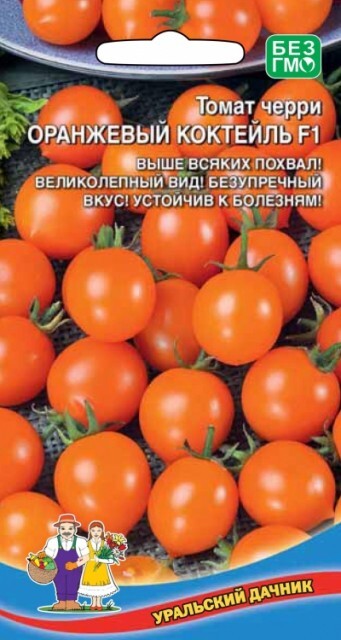 Томат оранжевое отзывы фото урожайность характеристика S00167960 - купить по выгодным ценам в интернет-магазине OZON