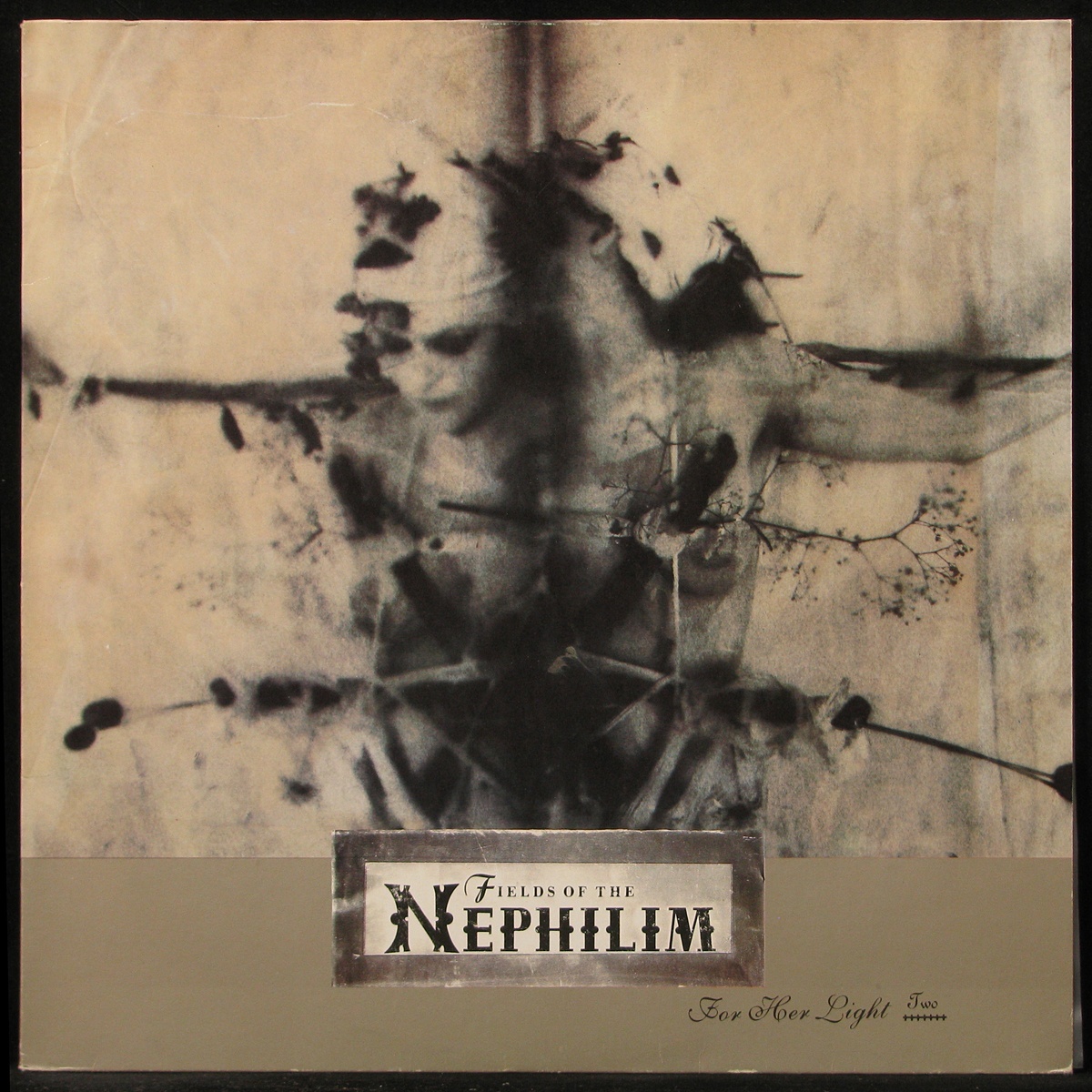 Linty Nephilim