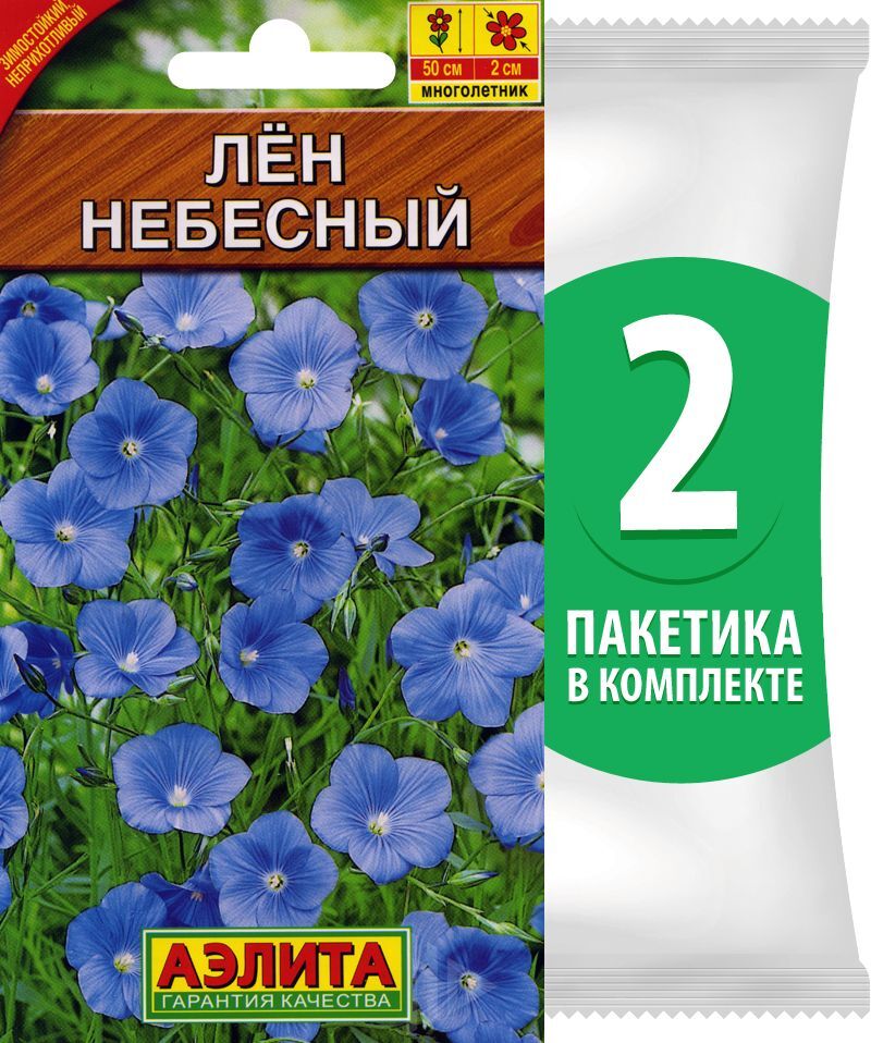 Лен Многолетний Небесный Фото
