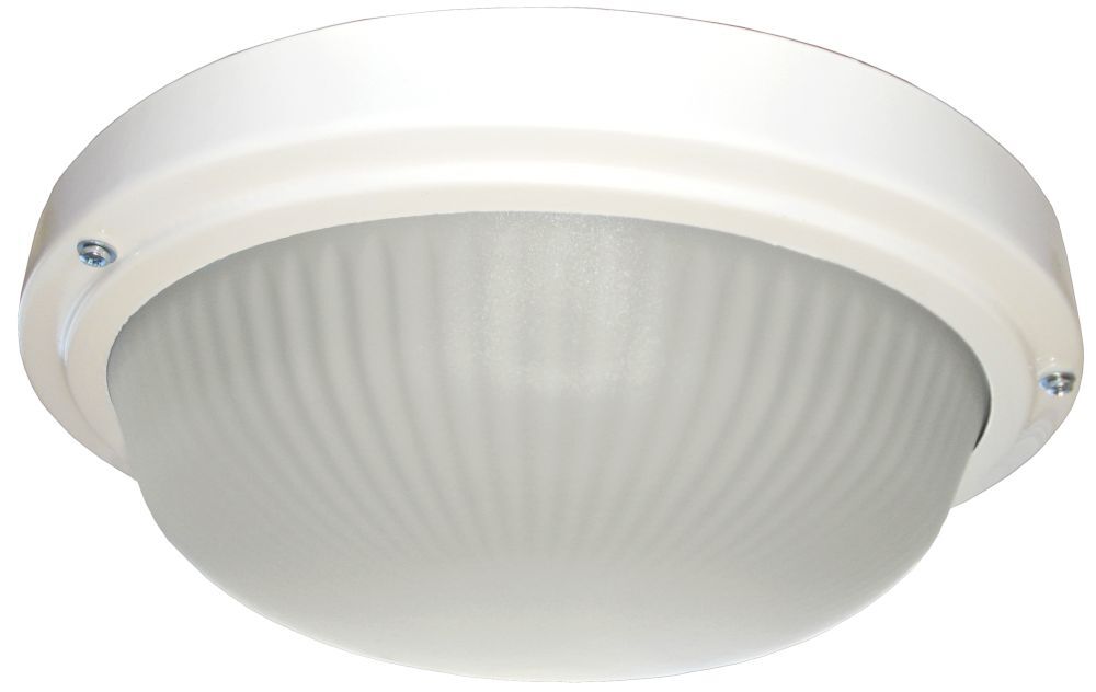 Ecola light gx53 led. Светильник Экола gx53 8013a влагозащ.прозр.цилиндр металл белый матов ip65