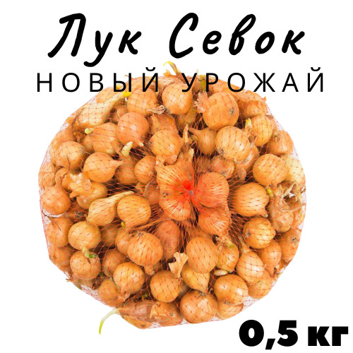 Лук севок 0.5 кг