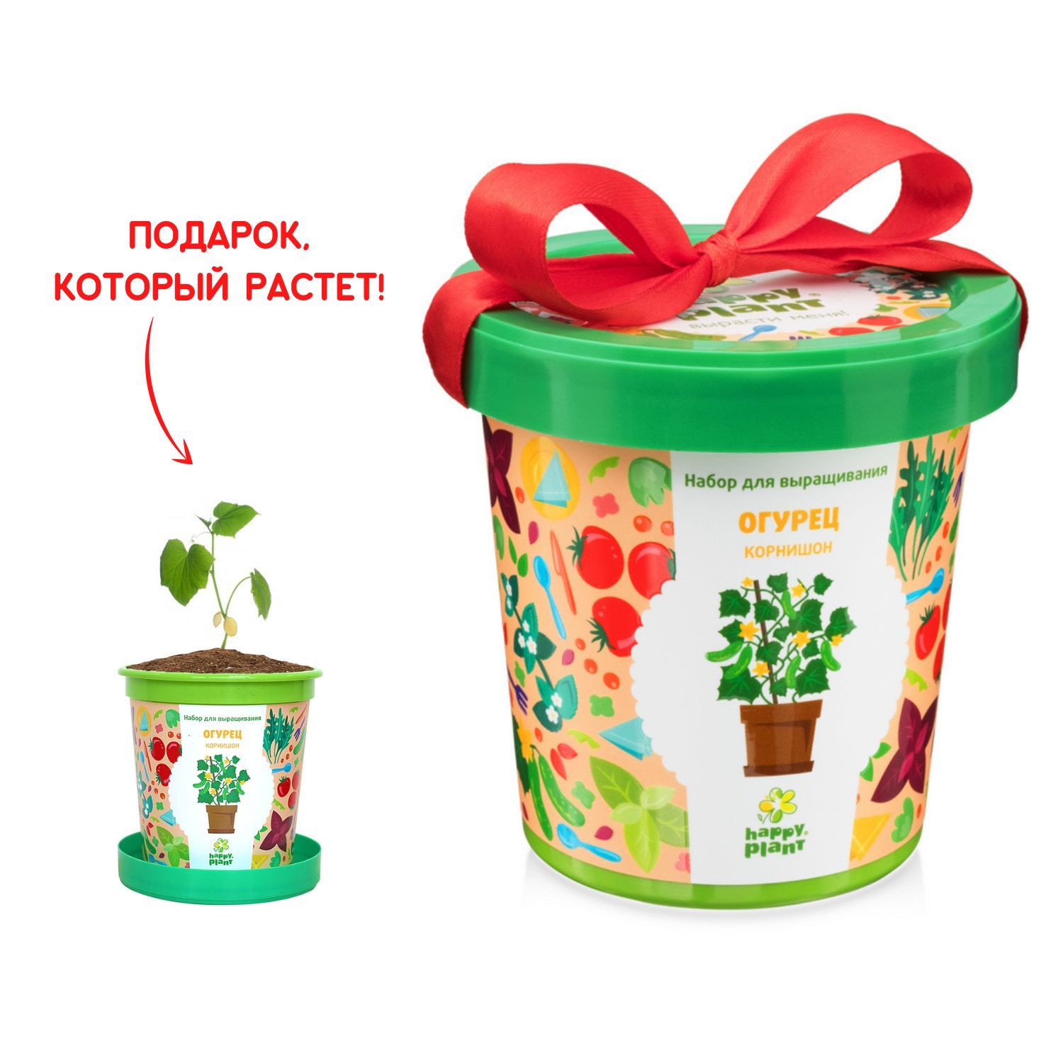 Набор для выращивания Happy Plant, Огурцы, Однолетник купить по выгодной  цене в интернет-магазине OZON (149743787)