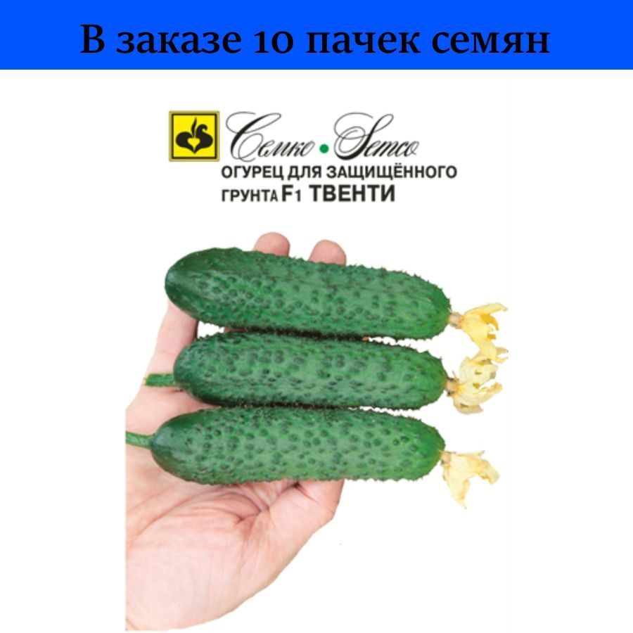 Семко огурец твенти