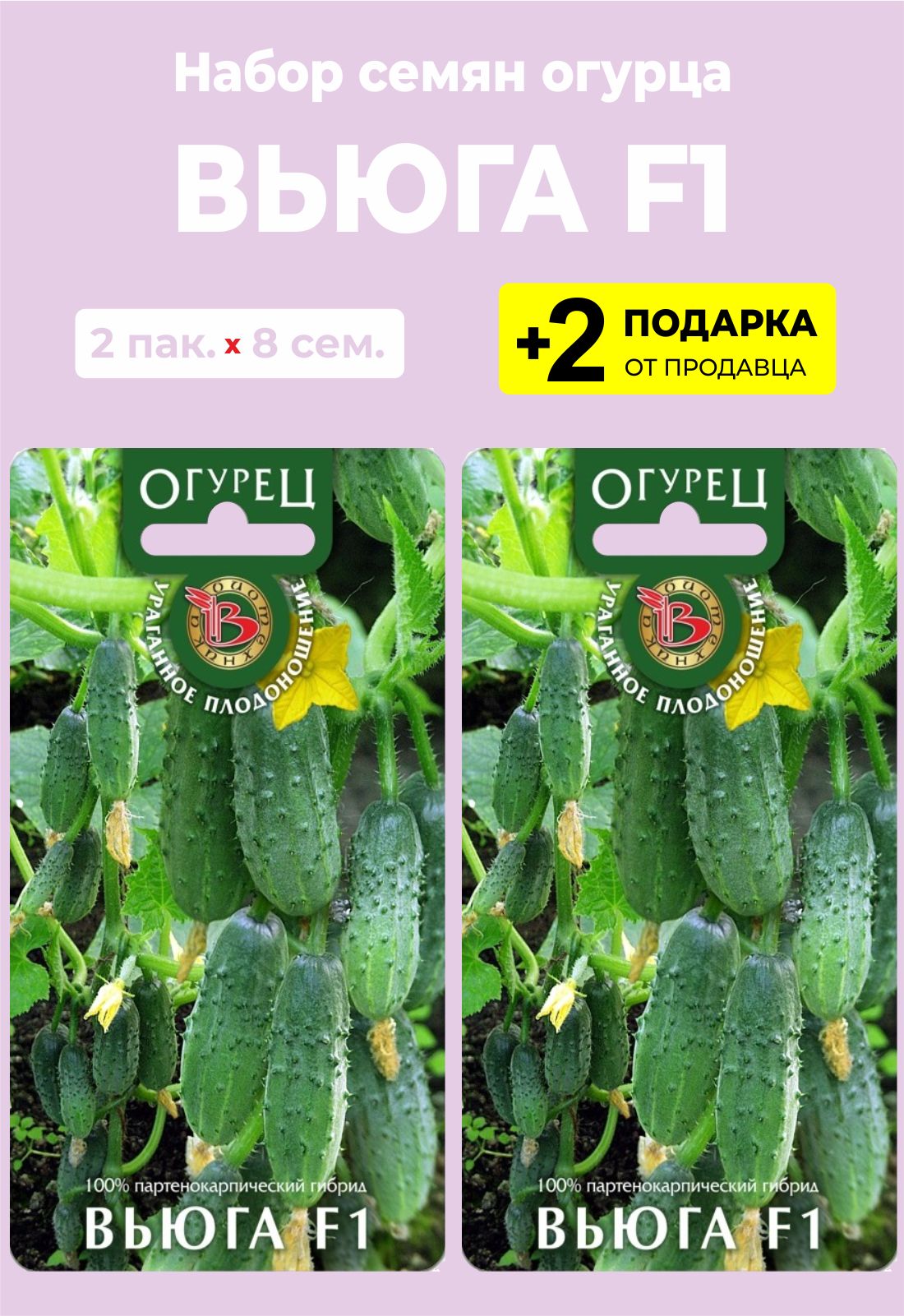 Огурцы вьюга отзывы фото описание