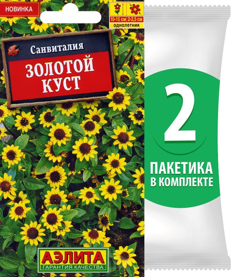 Санвиталия золотой куст фото и описание сорта