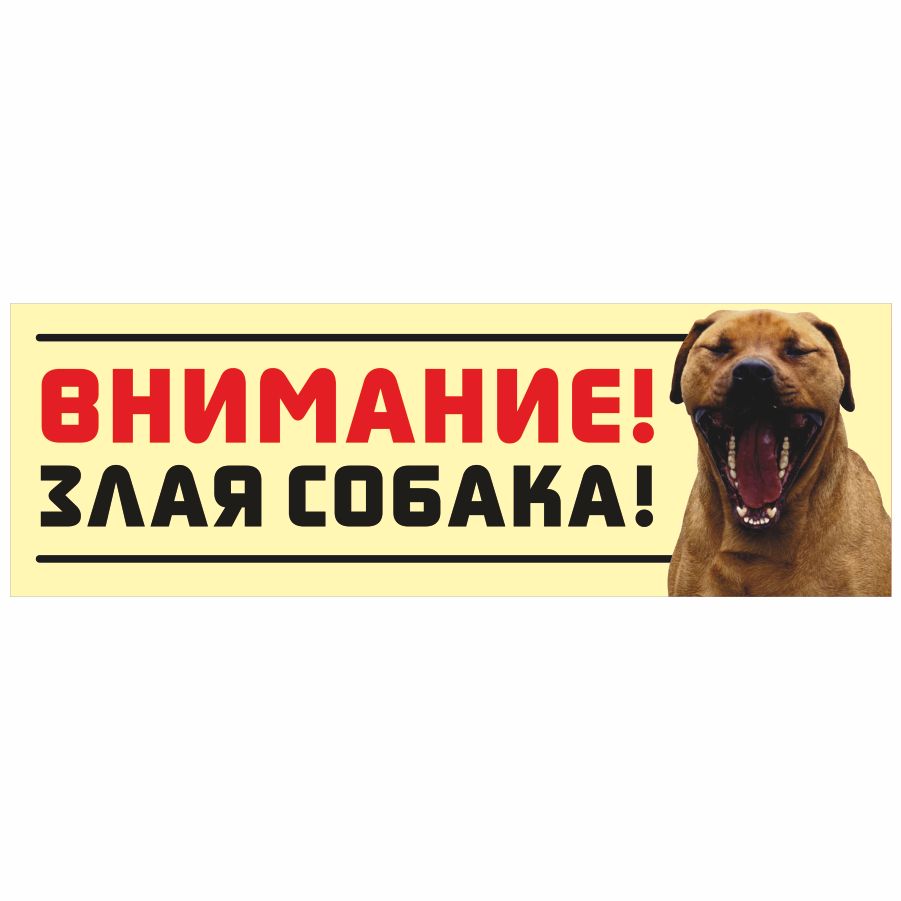 Внимание собаки