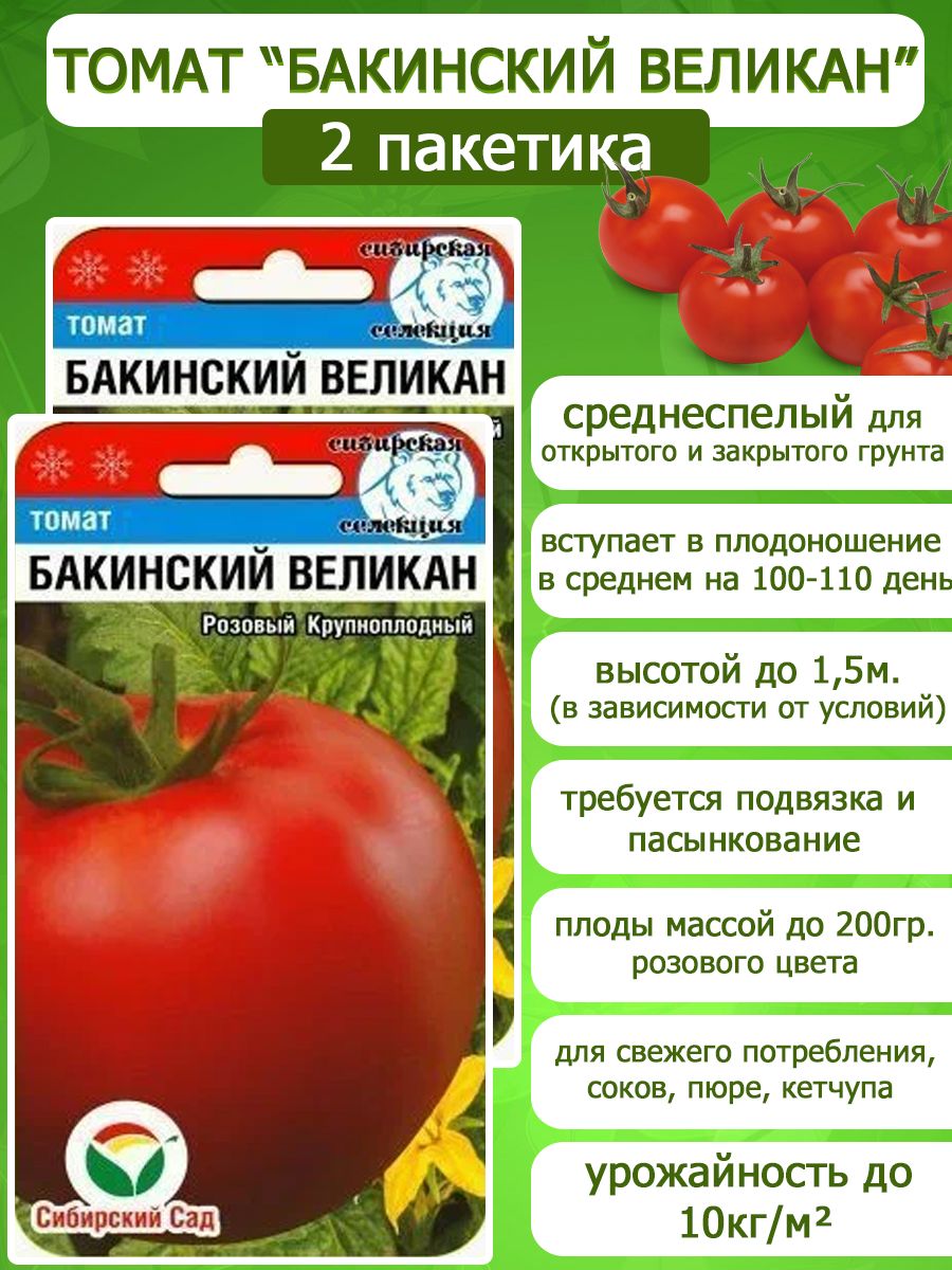 Бакинский томат описание сорта фото. Томат Бакинские 622. Томат Бакинский великан. Томат Бакинский крупноплодный. Помидоры Бакинские описание сорта.