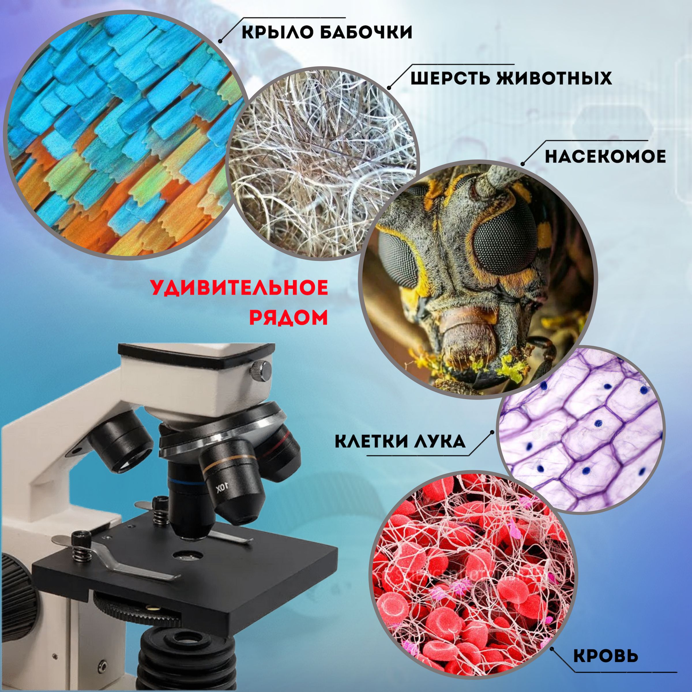 Микроскоп Микромед С 11 Купить Авито