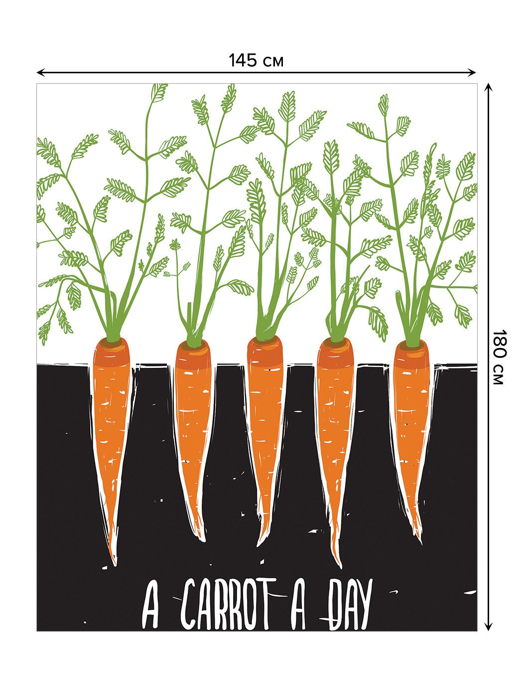 Морковь группа растений. Морковь на грядке. Морковь в земле. Морковь растет. Морковь в огороде.