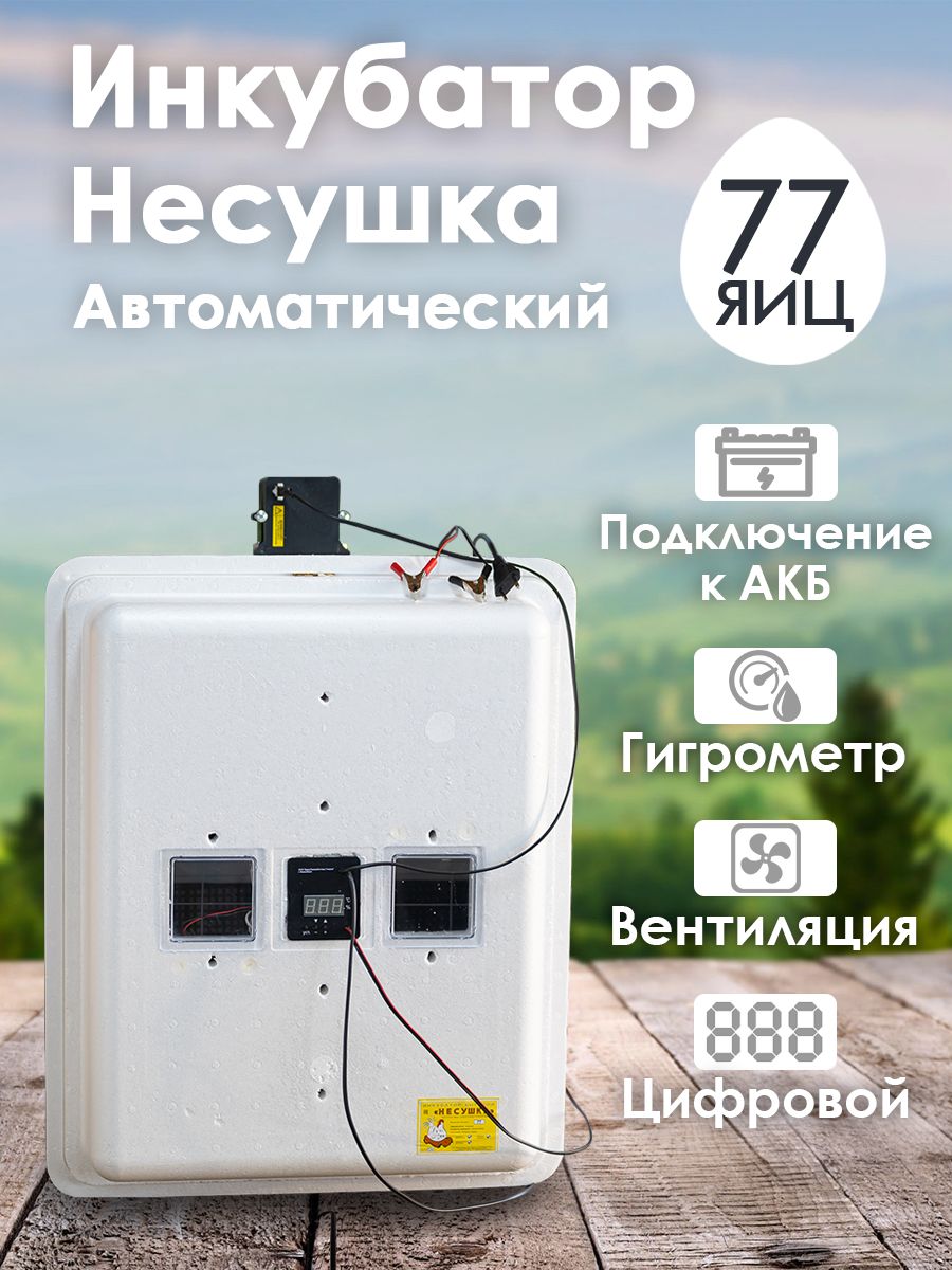 Инкубатор для яиц автоматический Несушка 77 яиц 220/12 В, цифровой,  гигрометр, вентиляция арт. 63 вг