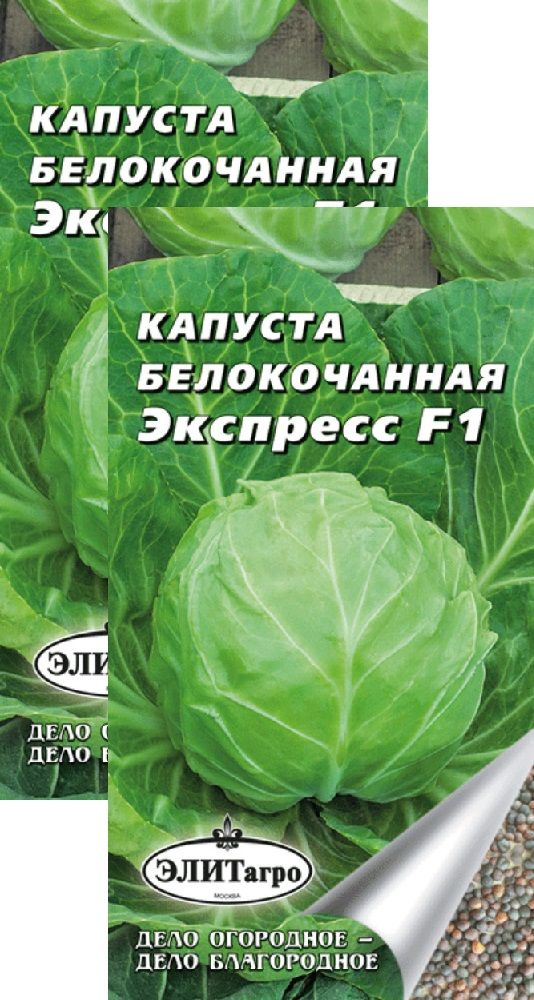 Капуста экспресс фото